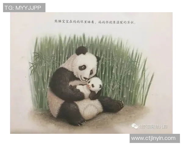 足球明星携子女共攀高峰感受自然之美温馨亲子时光视频分享 足球明星携子女共攀高峰感受自然之美温馨亲子时光视频分享