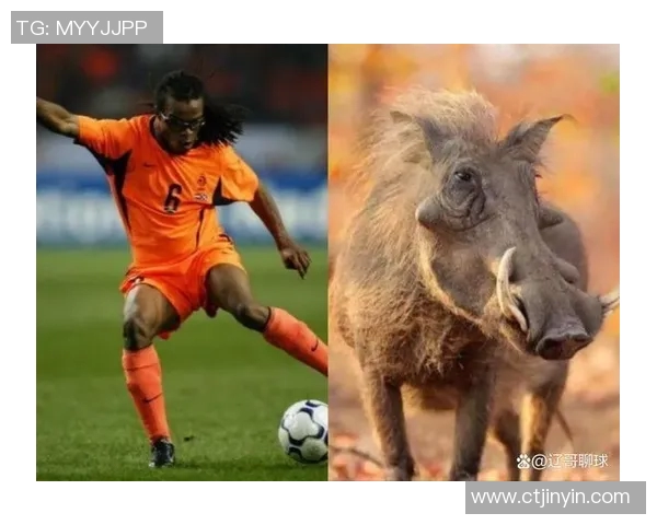 为你的狗狗取个足球明星名字的创意指南与灵感分享