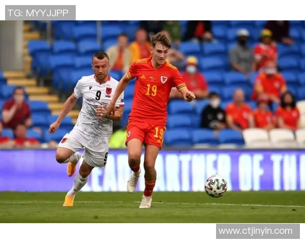 张卫足球明星的成就与影响力分析及其代表性球员介绍